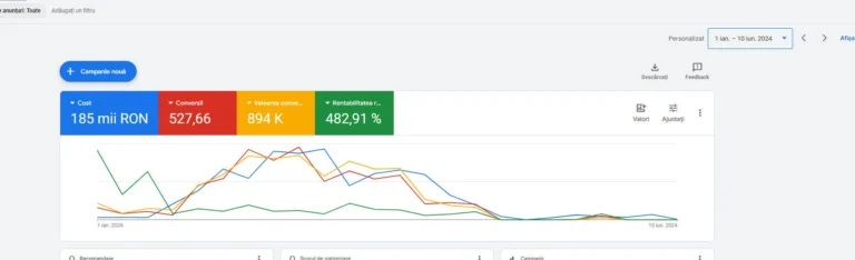 Raport Google Ads, 1 ianuarie până la 10 iunie 2024: cost 185.000 RON, ROAS 482,91%